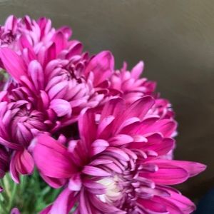 Meet your Posher, Kimberley